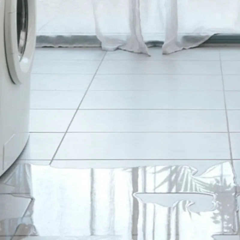 Appliance Leak Cleanup in Lyme, NH