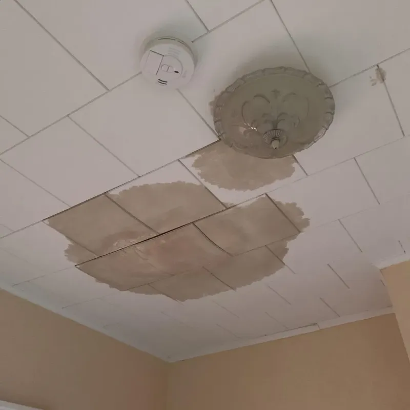 Ceiling Water Damage Repair in Lyme, NH