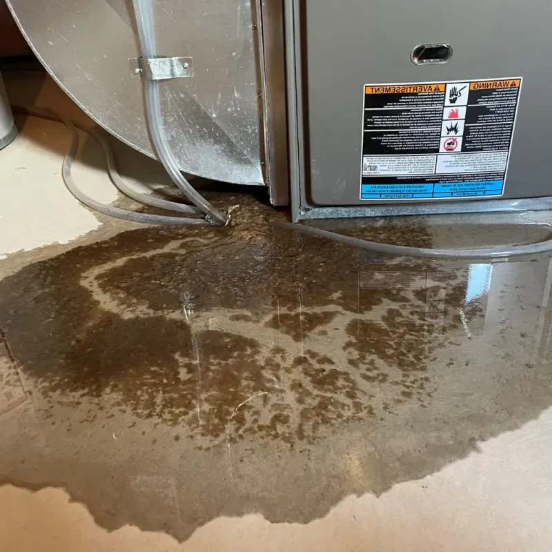 Pipe Burst and Leak Restoration in Lyme, NH